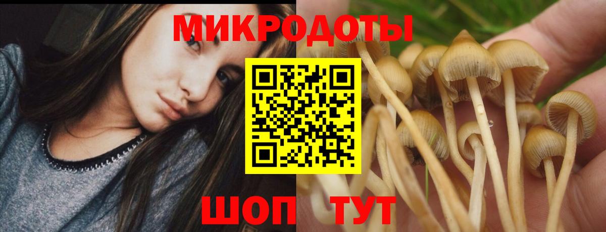 Галлюциногенные грибы GOLDEN TEACHER  дарнет шоп  Чехов  Вход с VPN 
